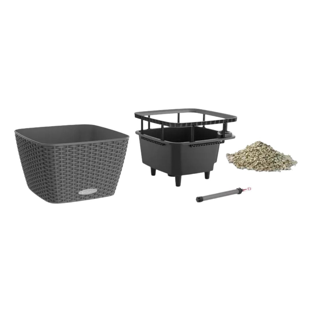 BACINO
