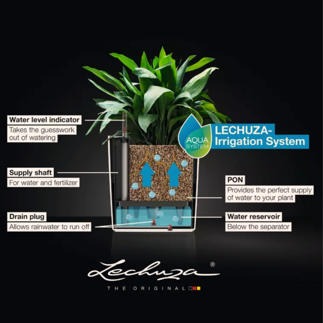 Pot LECHUZA TRENDCOVER