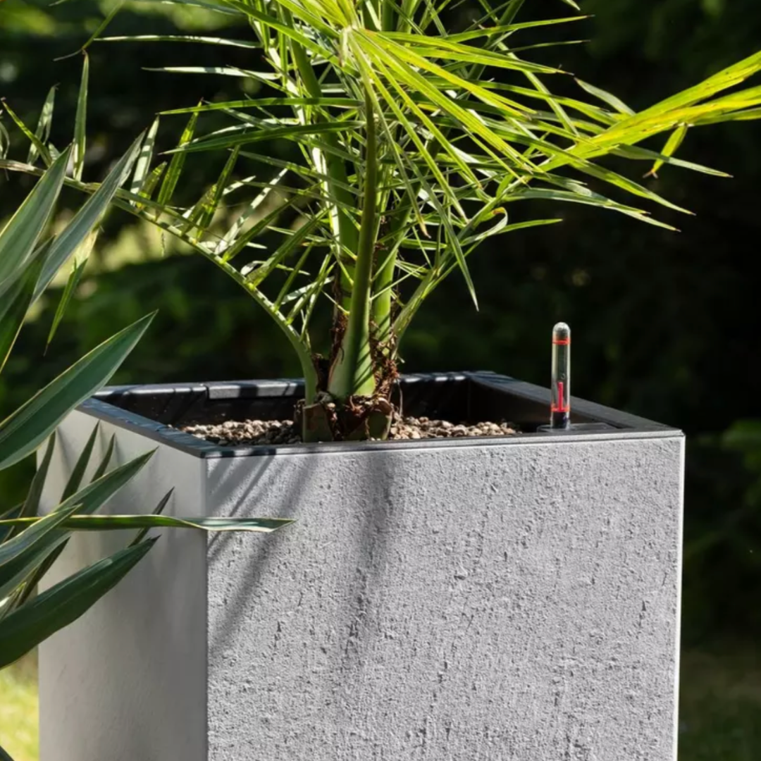 CANTO Slatestone 30 - high