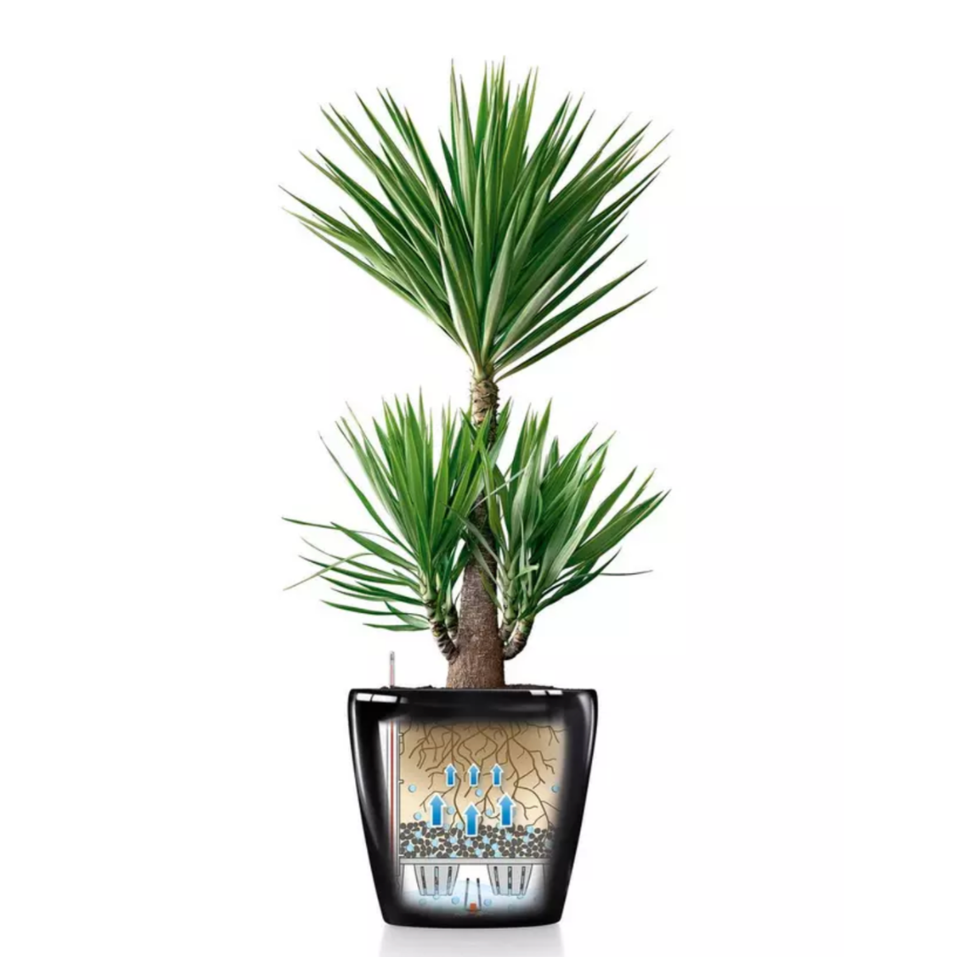 CLASSICO Premium Pot avec système d’arrosage intégré