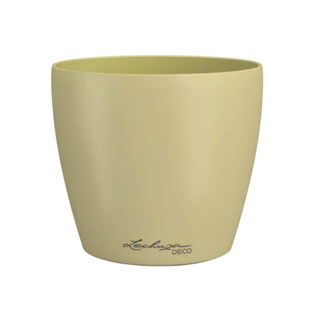 CLASSICO Color DECO