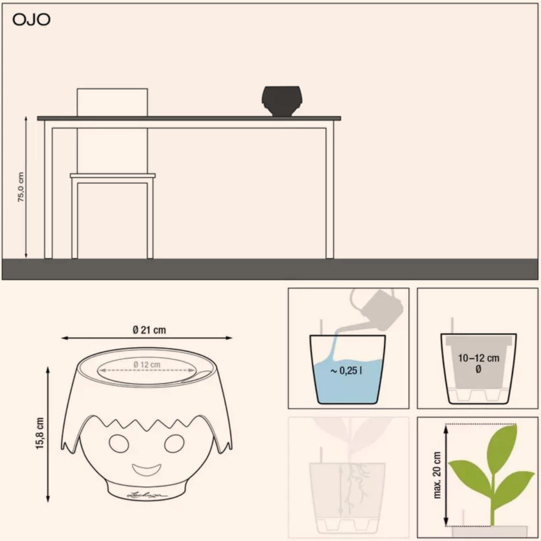 OJO Pomme vert