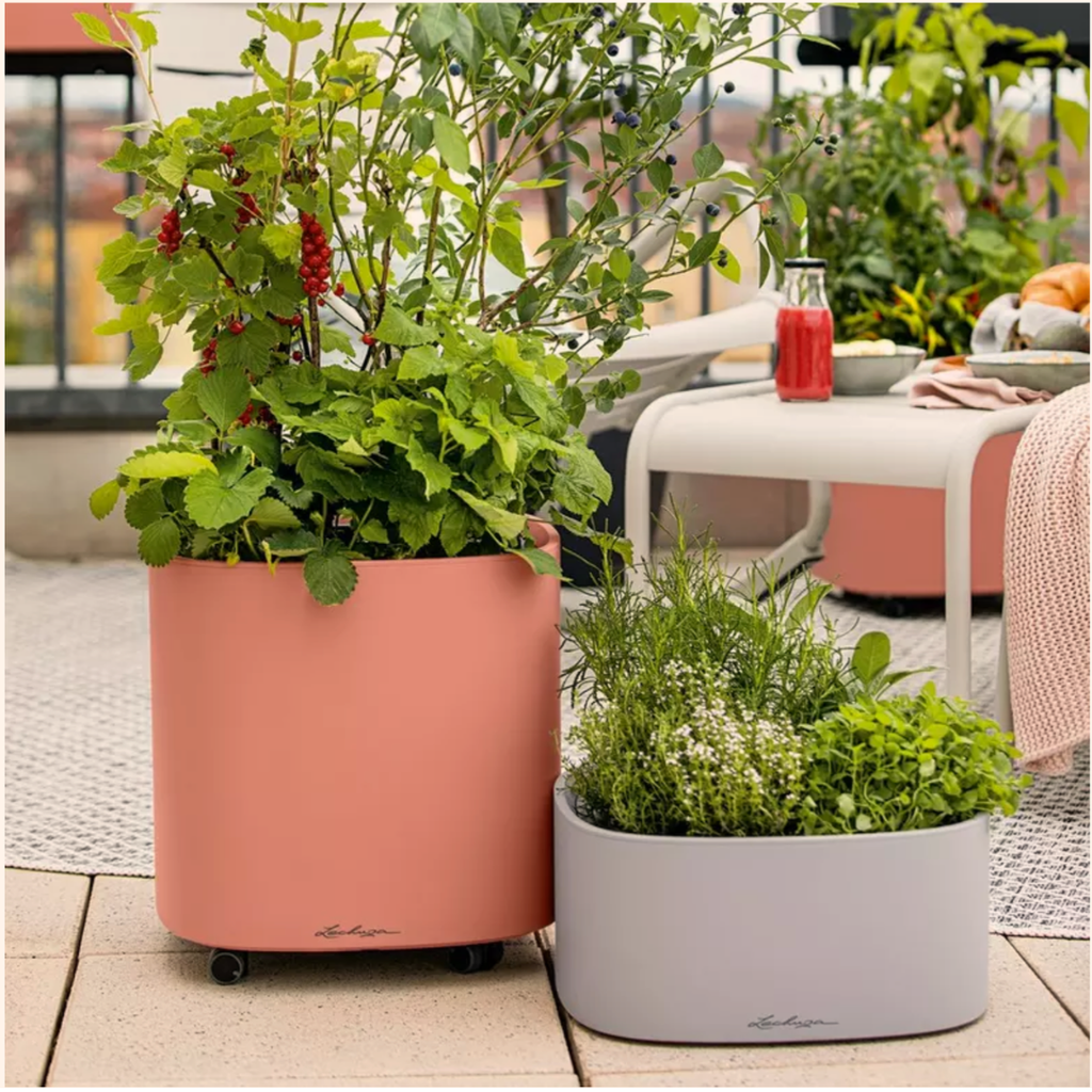 PILA Color Planter