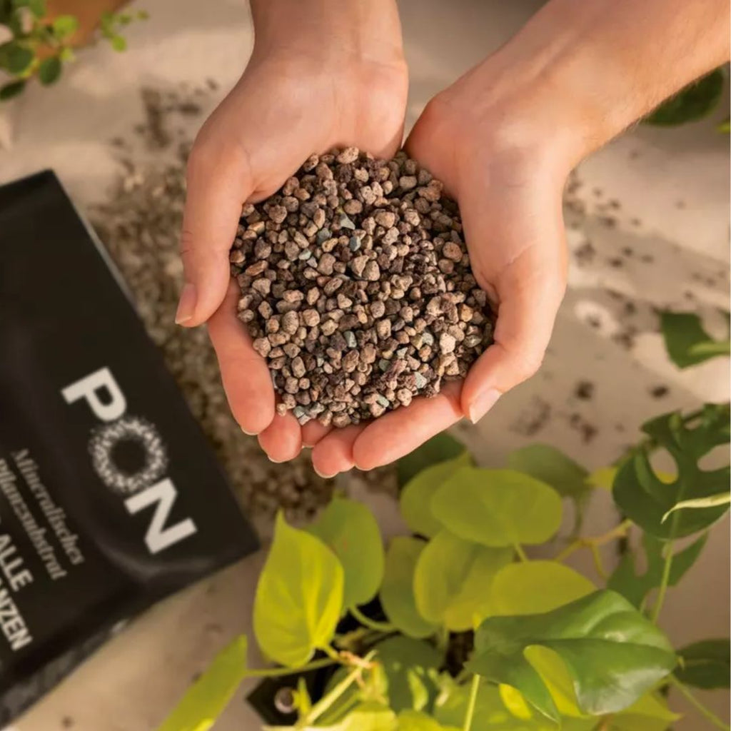 Fertiliseur longue durée PERFECT LEAF 150 g