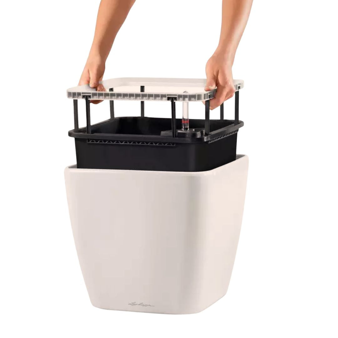 QUADRO Premium LS