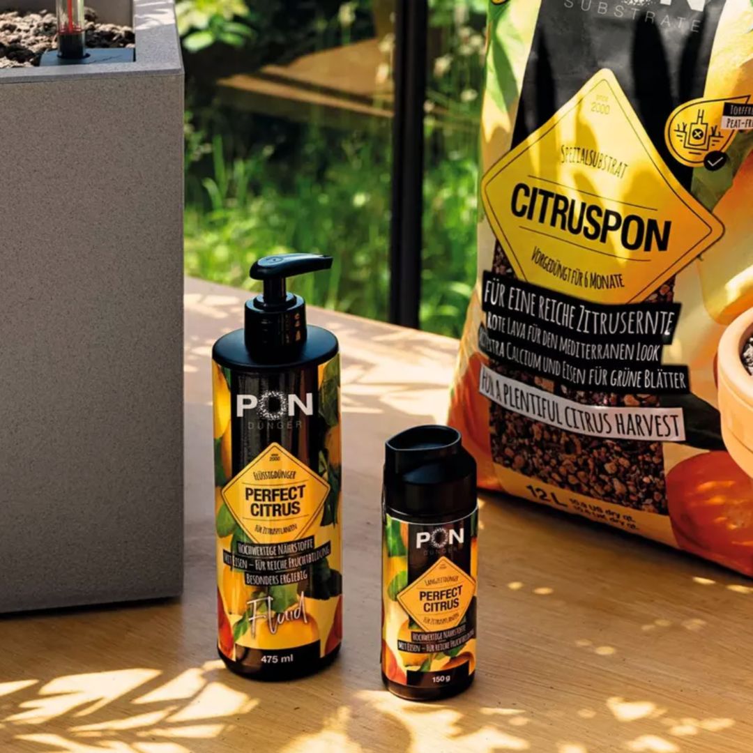 Fertiliseur longue durée PERFECT CITRUS 150 g