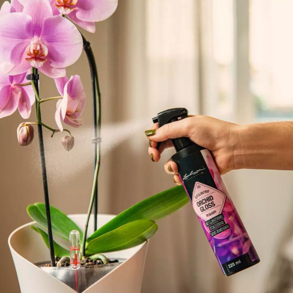 Spray ORCHID GLOSS 225 ml