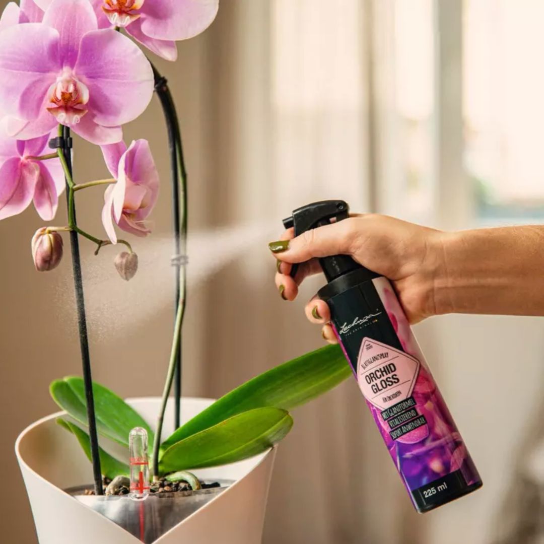 Spray ORCHID GLOSS 225 ml