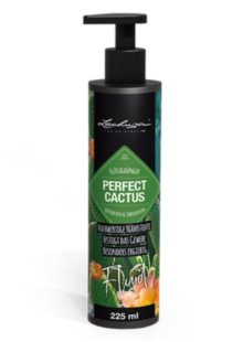 Parfait Cactus