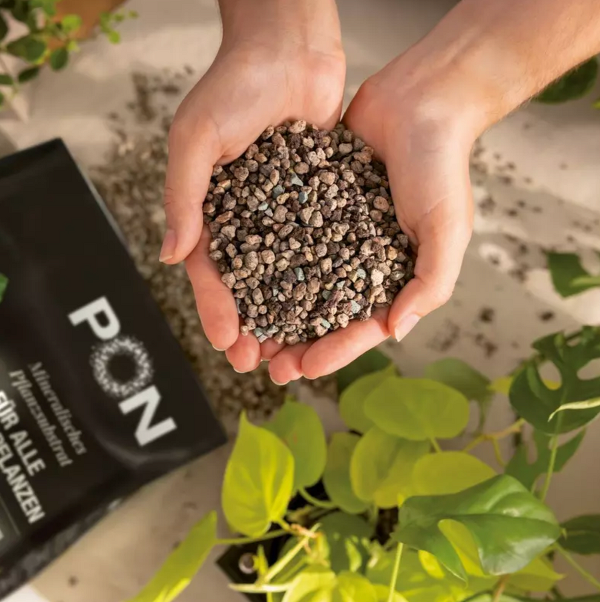 Substrat de plantation LECHUZA-PON 3L