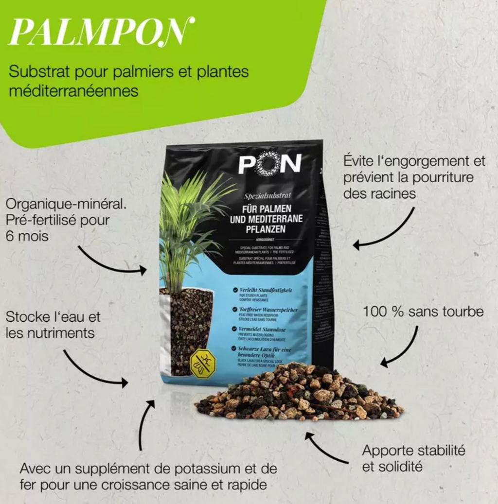 Substrat pour palmiers et plantes méditerranéennes LECHUZA PALMPON – 12 L