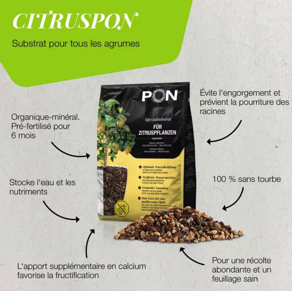 Substrat pour agrumes LECHUZA CITRUSPON – 12 L