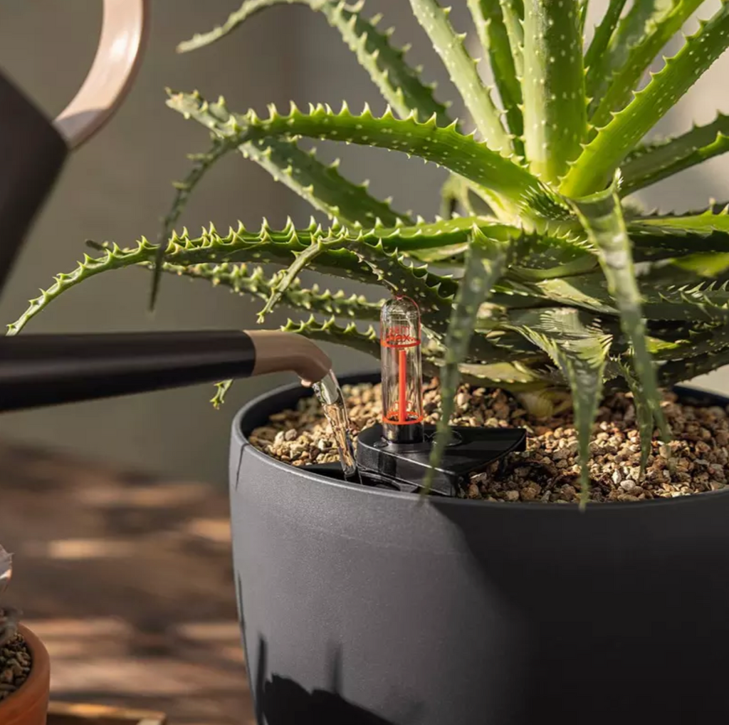 Substrat de plantation LECHUZA BASICPON – 6 L