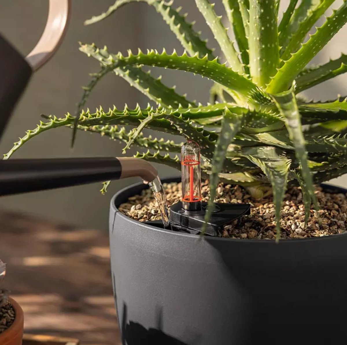Substrat de plantation LECHUZA BASICPON – 6 L