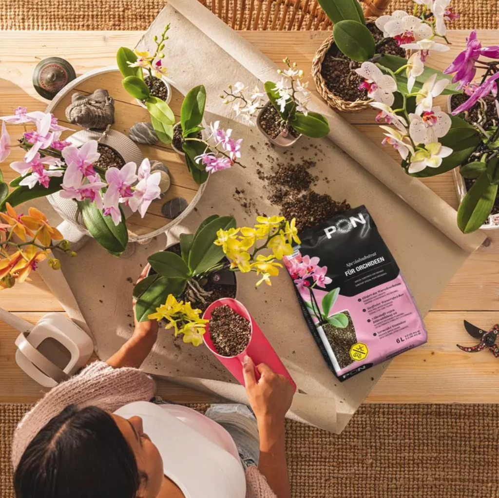 Substrat pour orchidées LECHUZA ORCHIDPON – 3 L