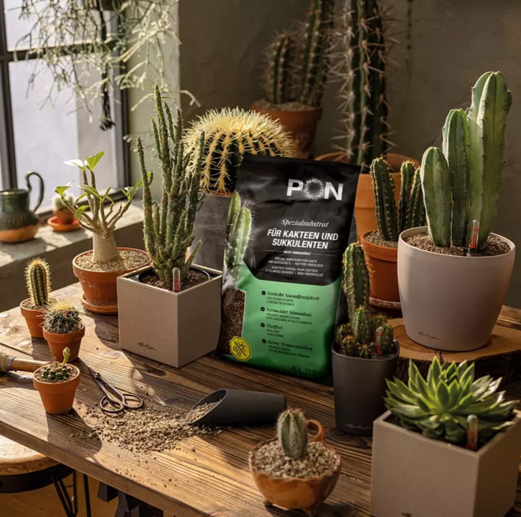 Substrat pour cactus et plantes succulentes LECHUZA CACTUSPON – 3 L