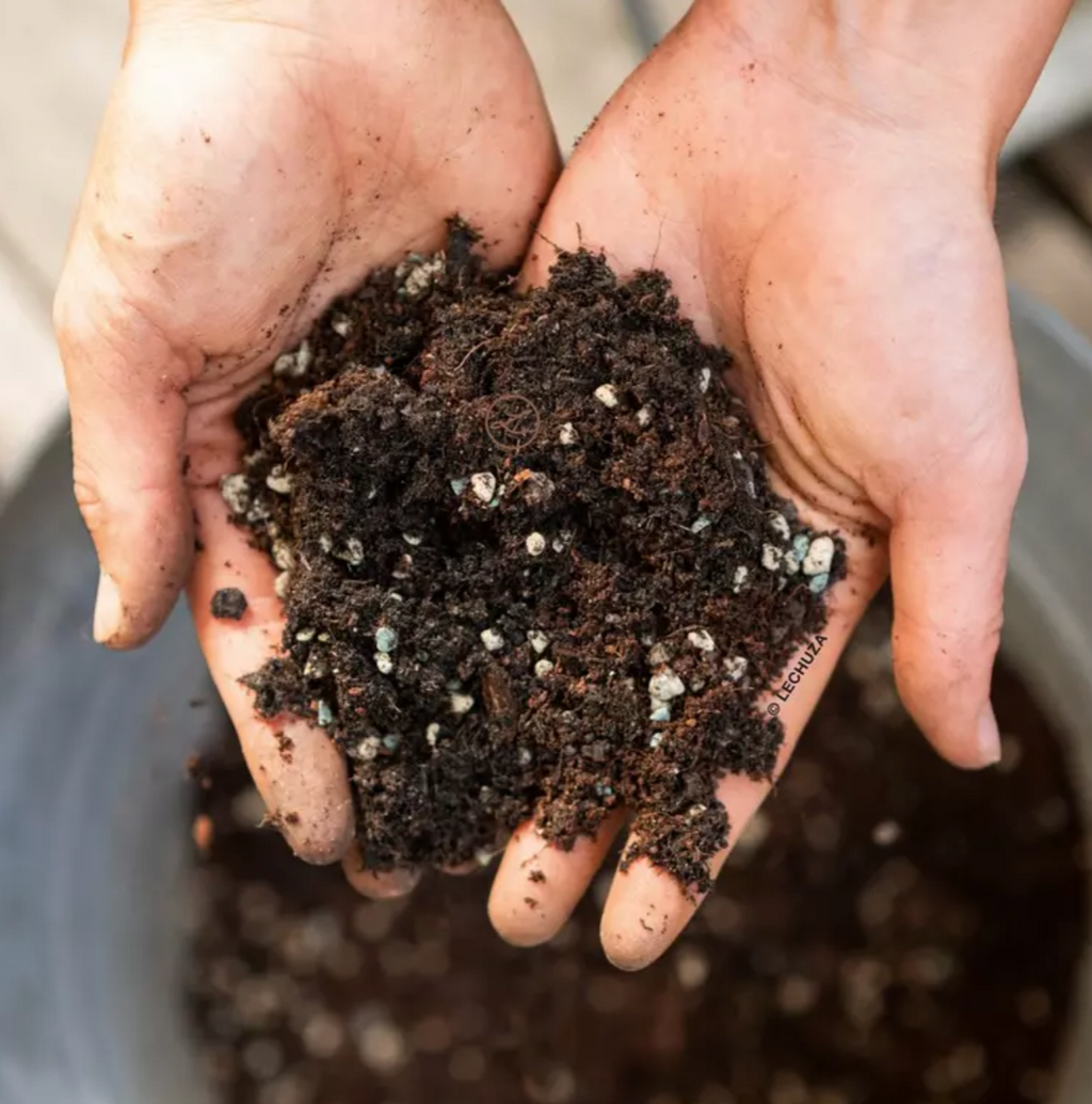 Substrat pour légumes et aromates LECHUZA VEGGIEPON – 6 L