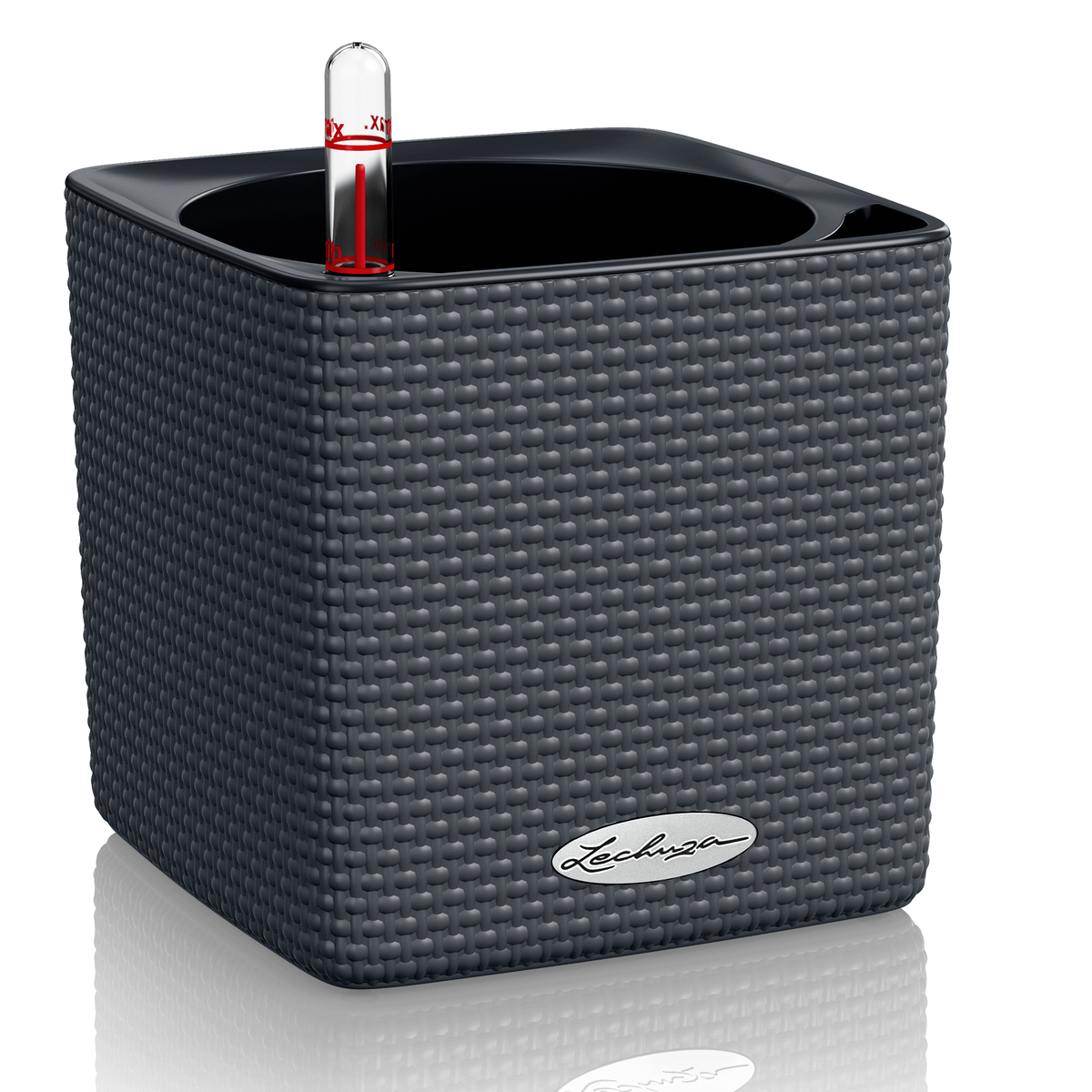 CUBE COLOR