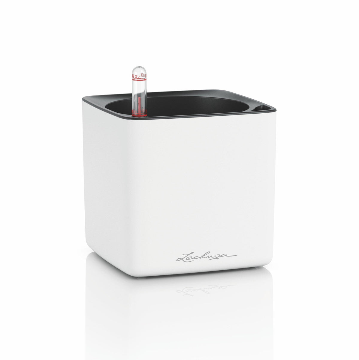 CUBE Premium