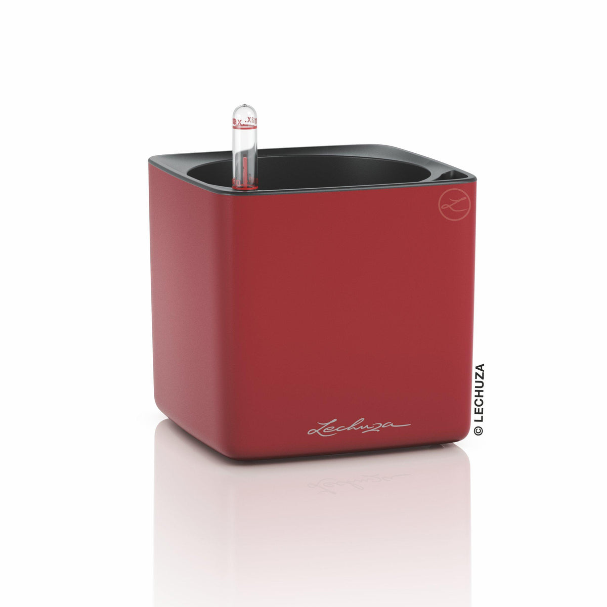 CUBE Premium