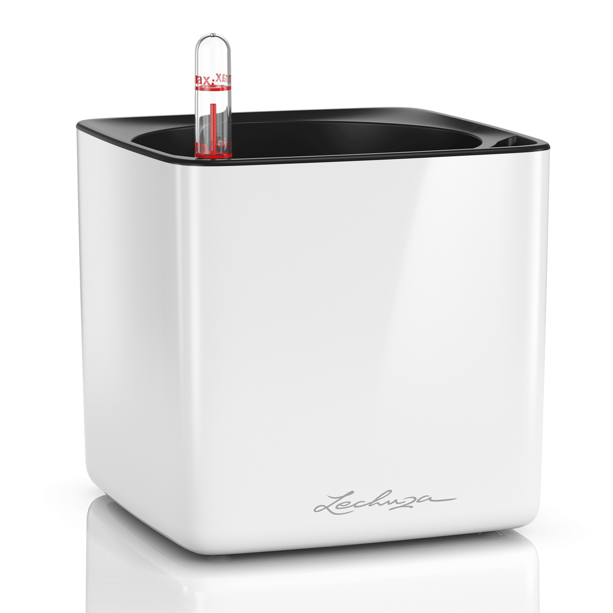 CUBE Premium