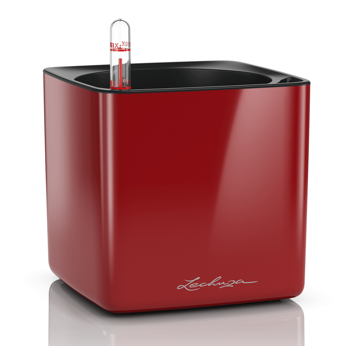 CUBE Premium