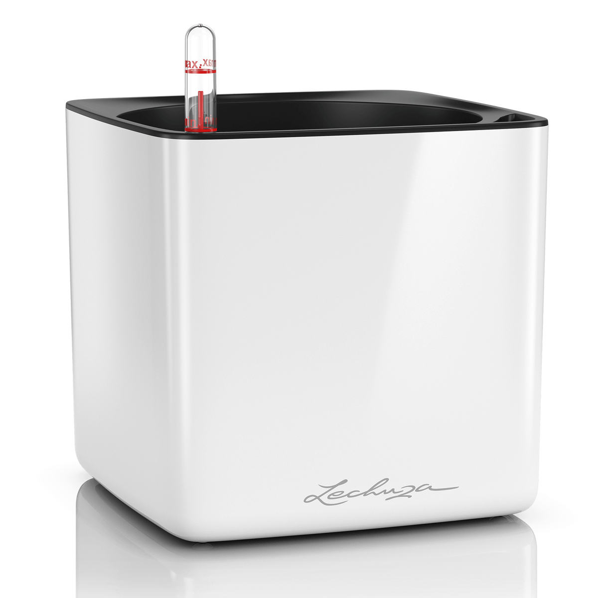 CUBE Premium