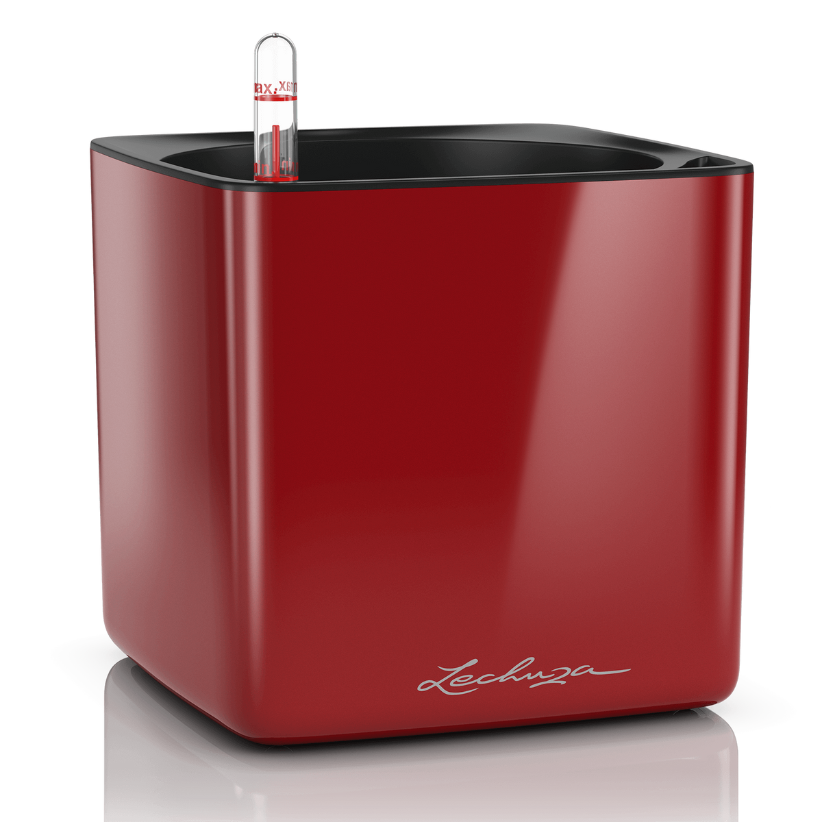 CUBE Premium