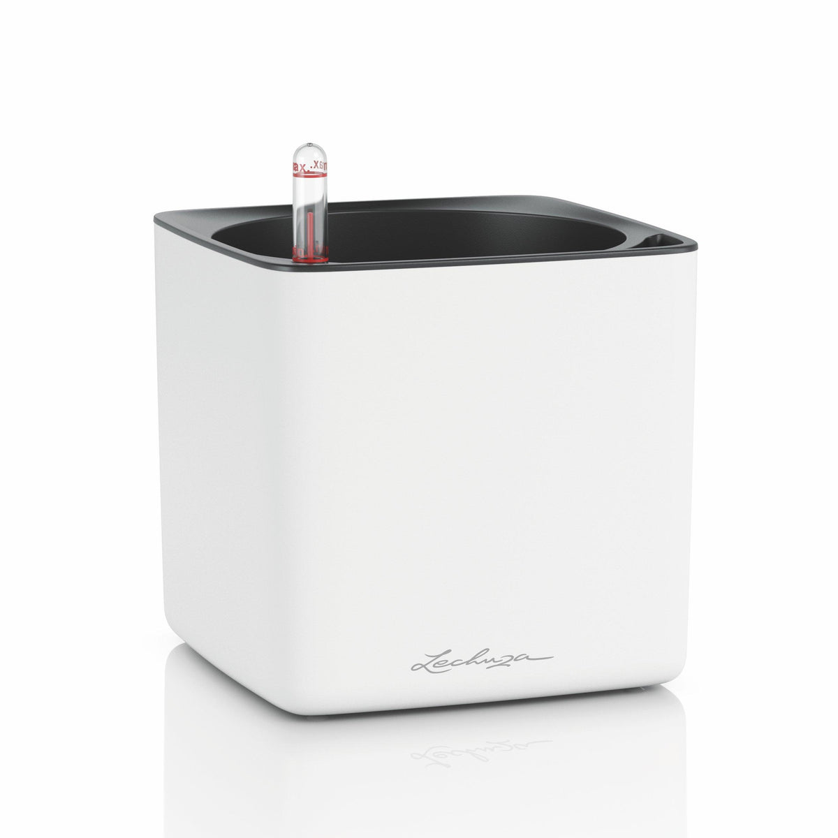 CUBE Premium