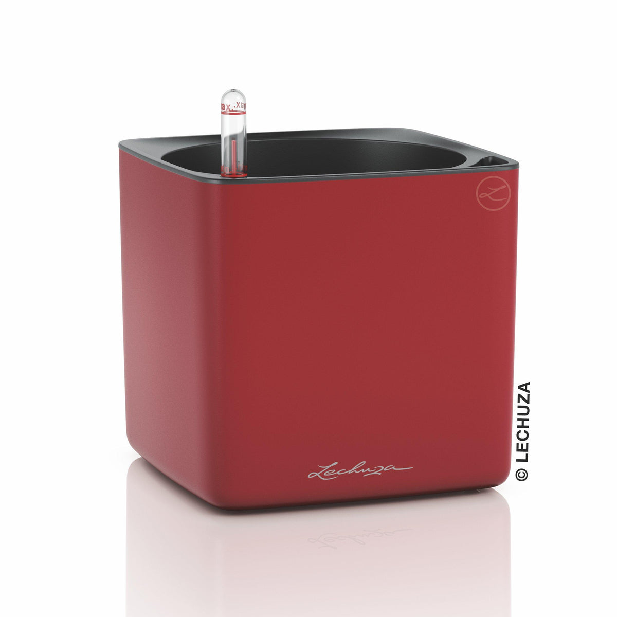 CUBE Premium