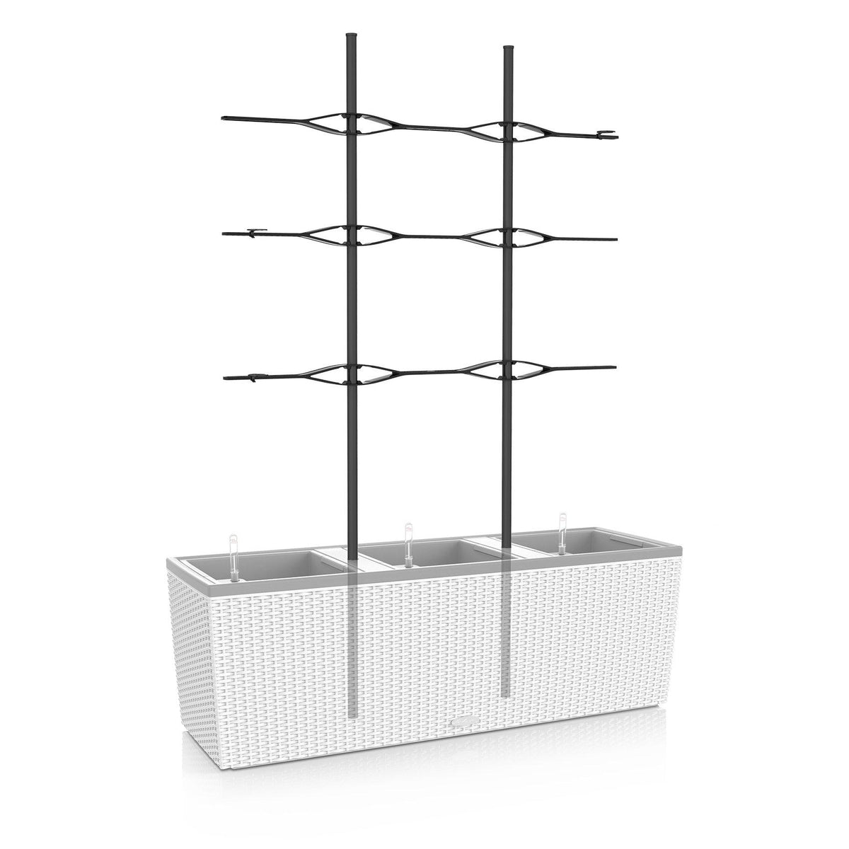 Treillis pour TRIO