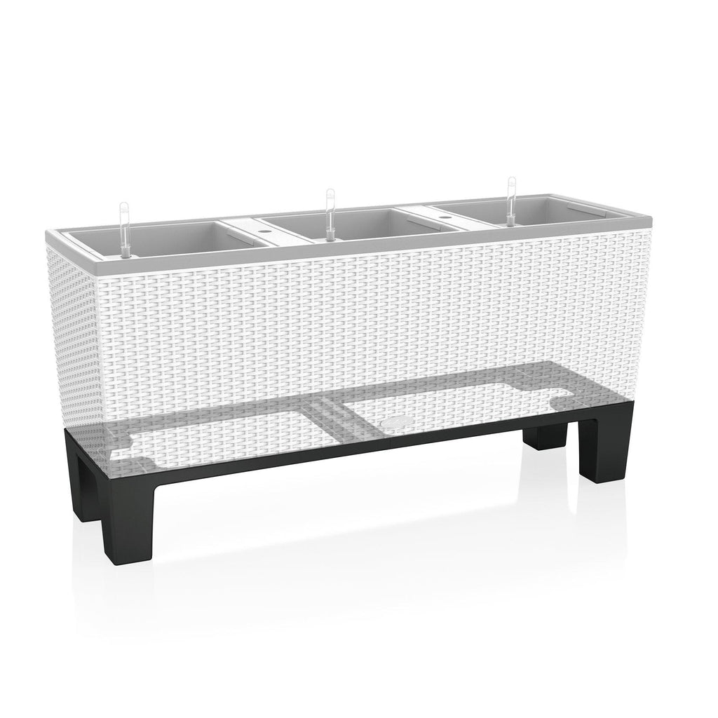 Socle pour TRIO