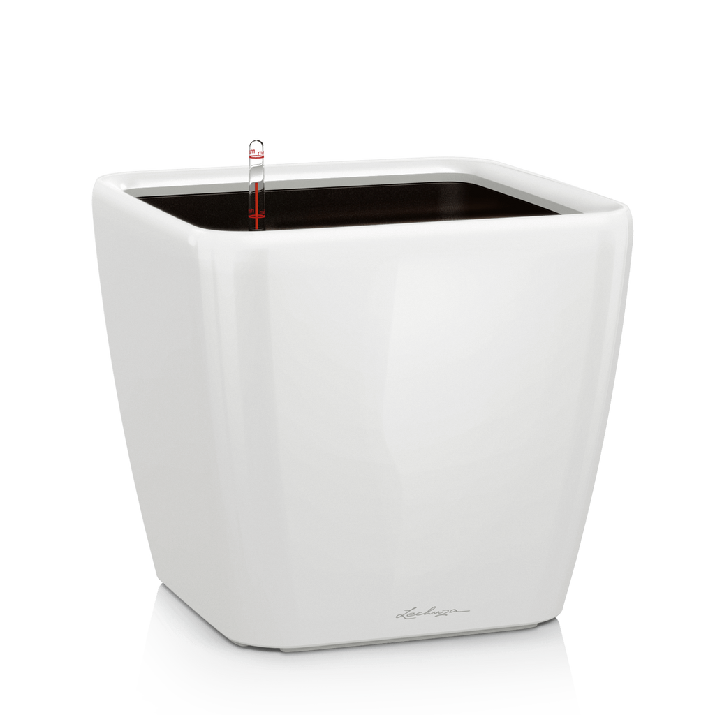 QUADRO Premium LS