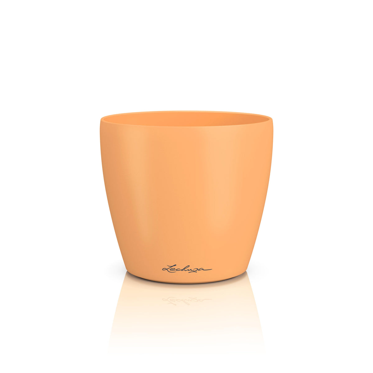 CLASSICO Color