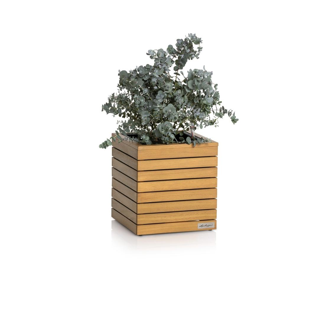 PALO en bois naturel d'eucalyptus