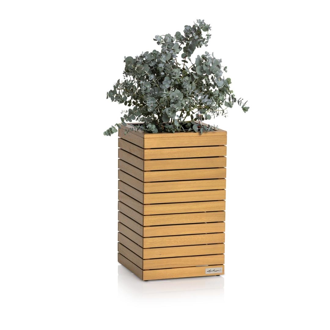 PALO en bois naturel d'eucalyptus