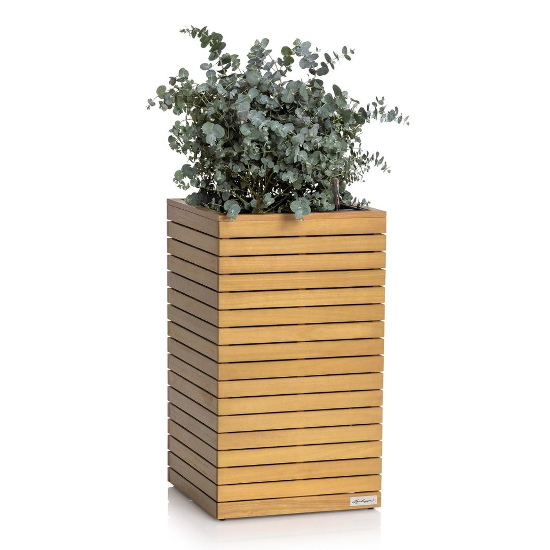 PALO en bois naturel d'eucalyptus