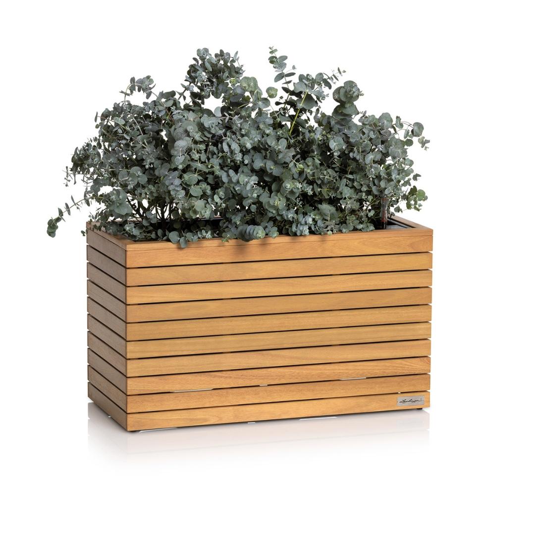 PALO en bois naturel d'eucalyptus