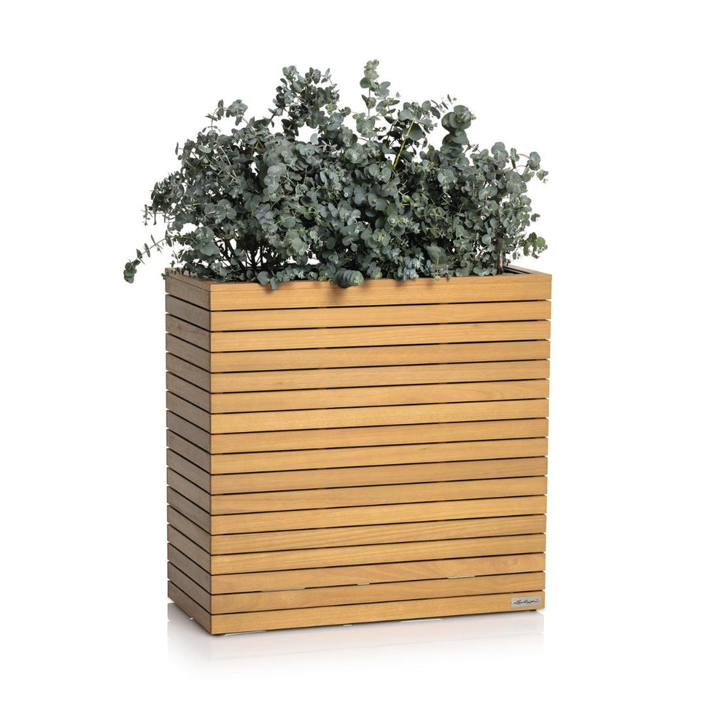 PALO en bois naturel d'eucalyptus