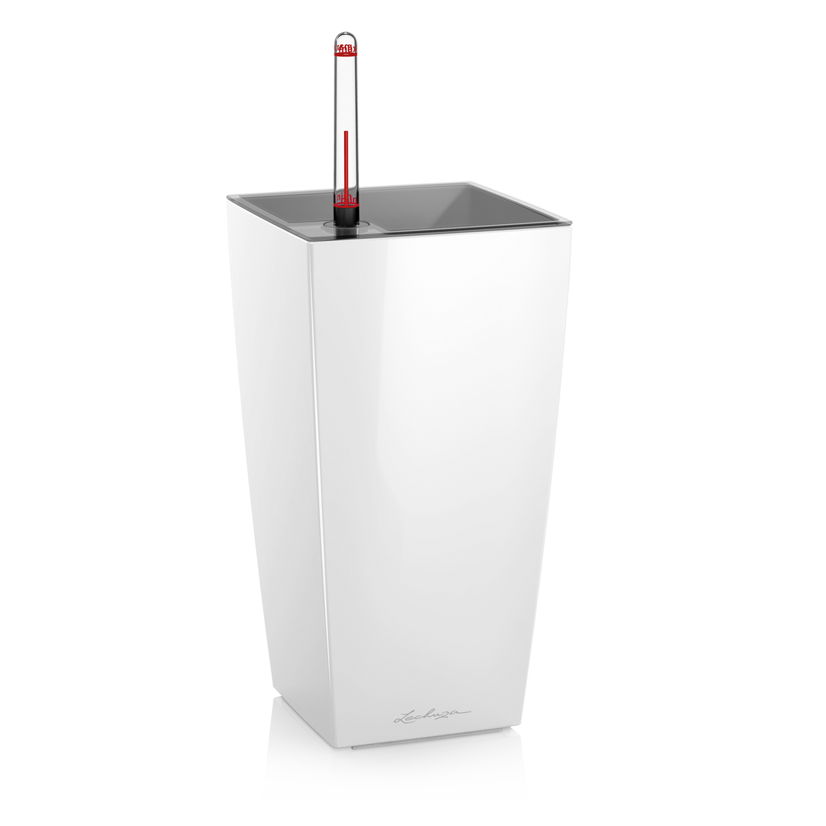 MAXI CUBE