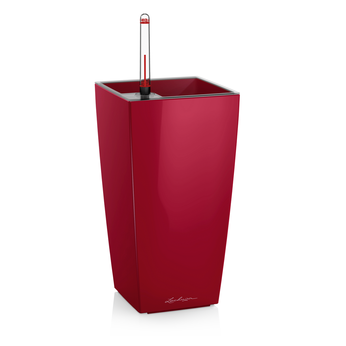 MAXI CUBE