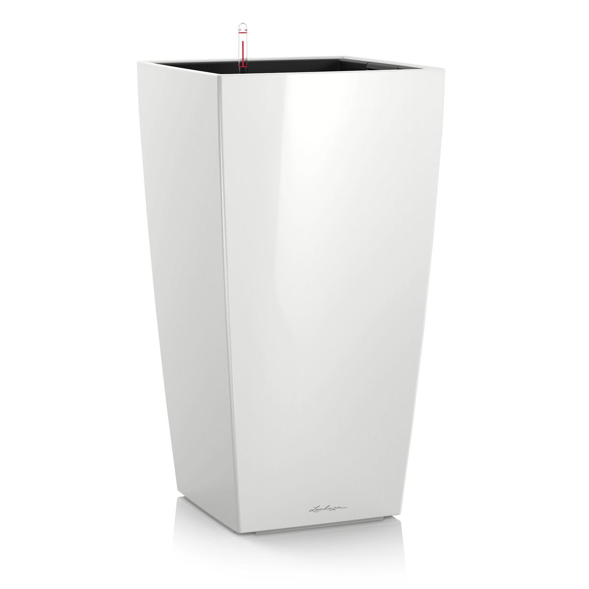 CUBICO Premium