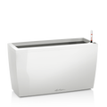 CARARO Premium 75