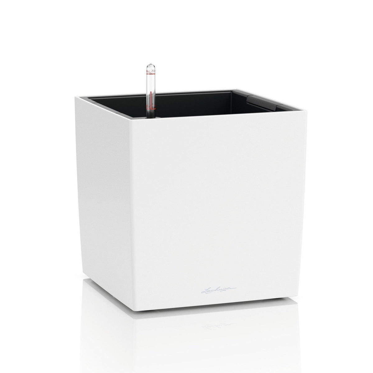 CUBE COLOR