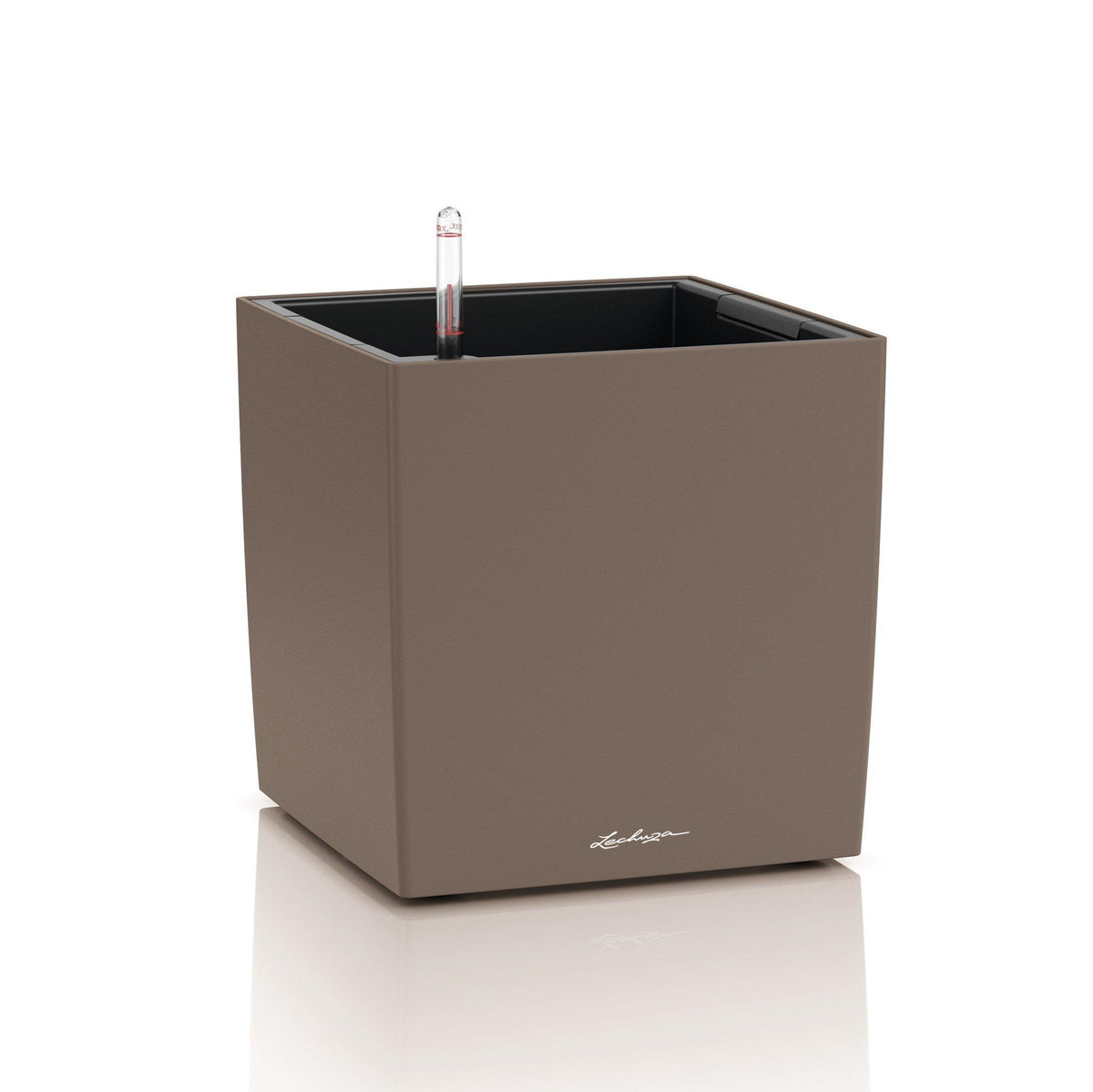 CUBE COLOR