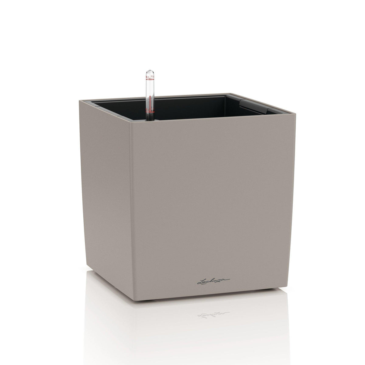 CUBE COLOR