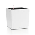 CUBE COLOR