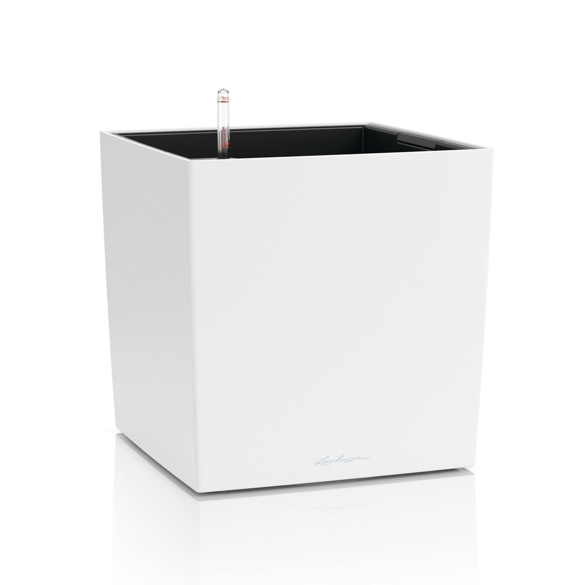 CUBE COLOR