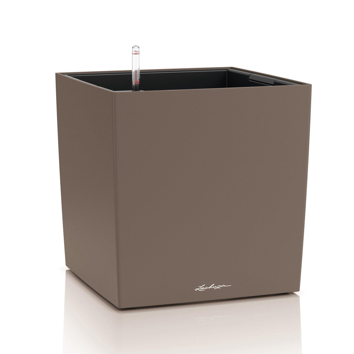 CUBE COLOR