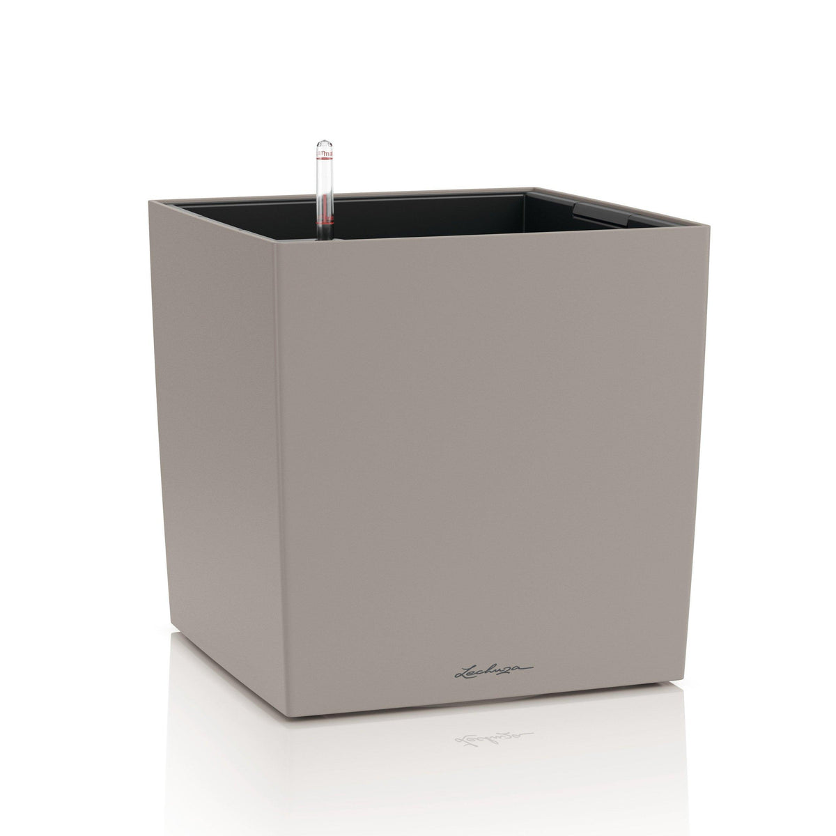 CUBE COLOR